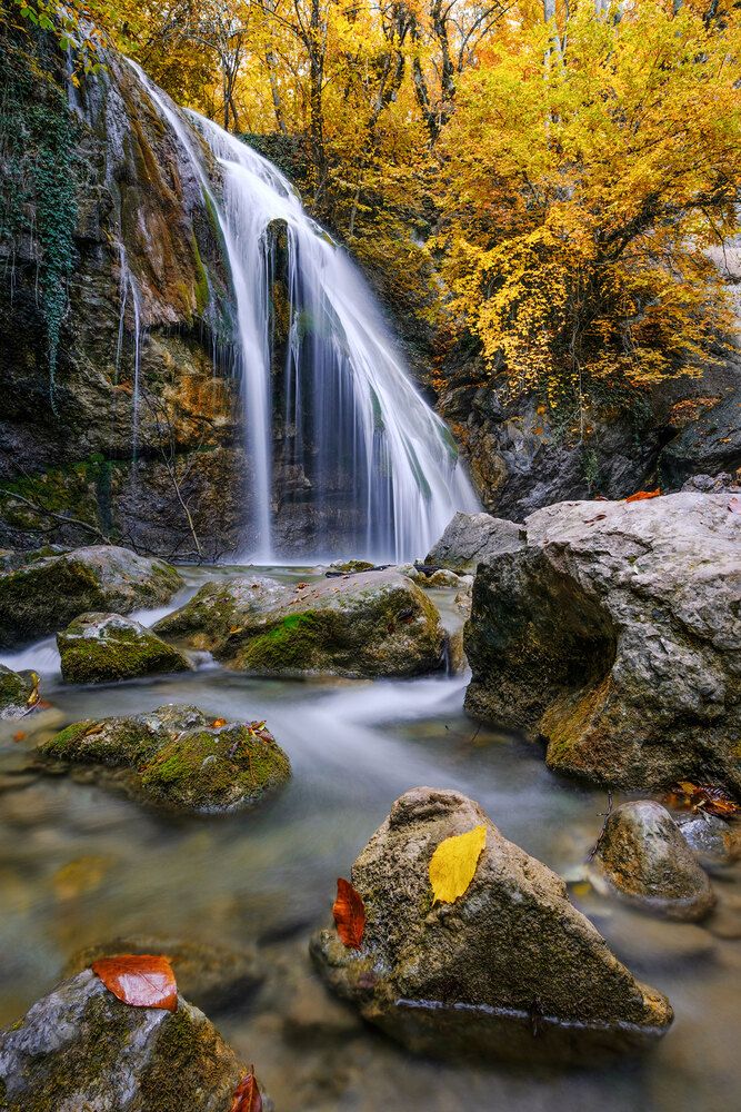 Photograph by Владимир Сковородников