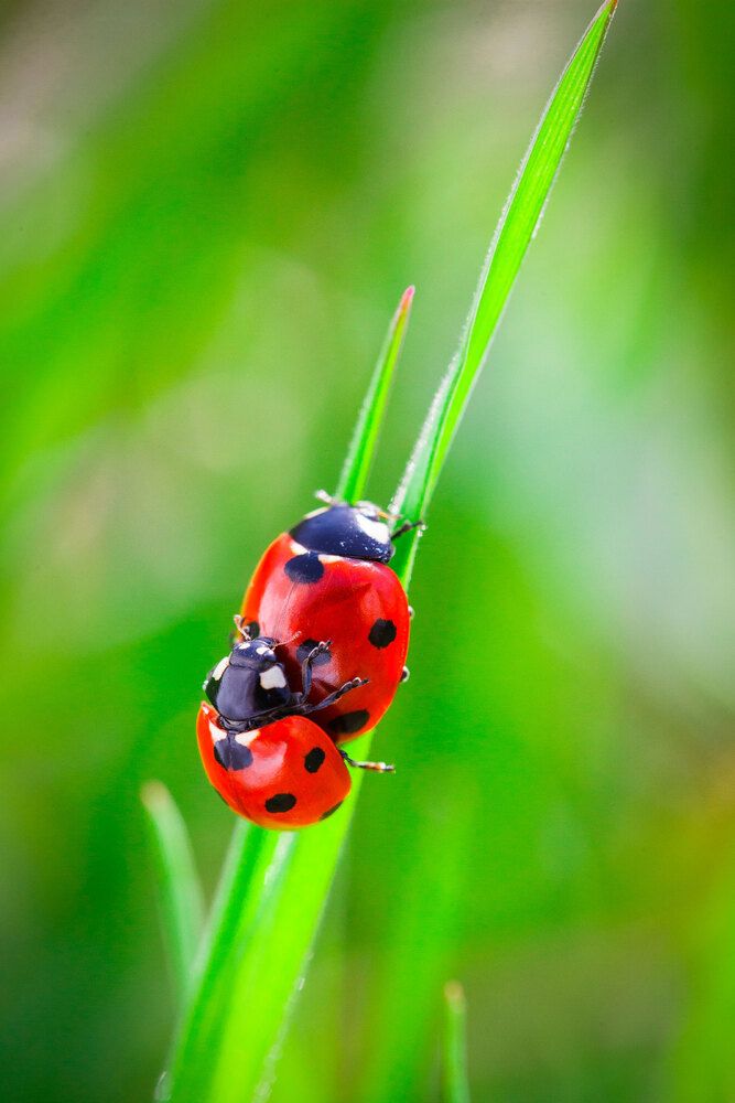 Photograph by Владимир Сковородников