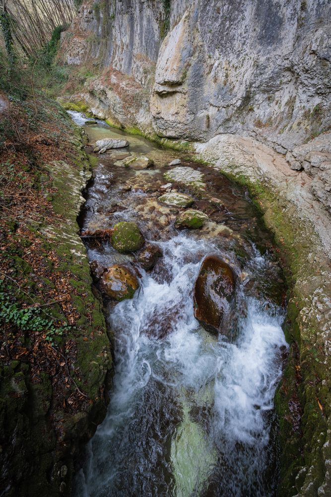 Фотография автора Максимова Дария