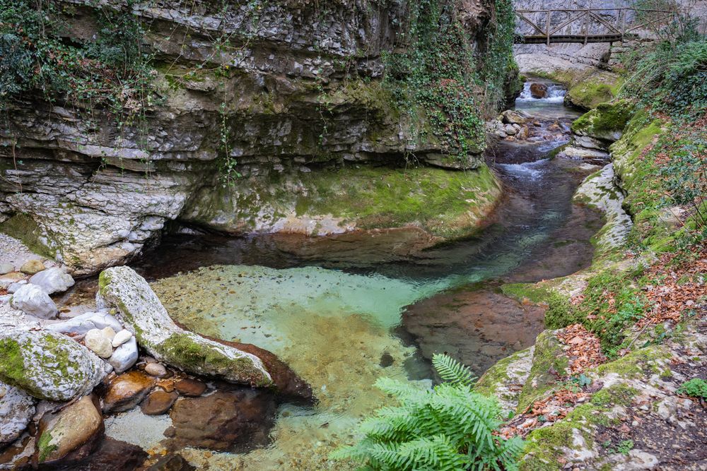 Фотография автора Максимова Дария