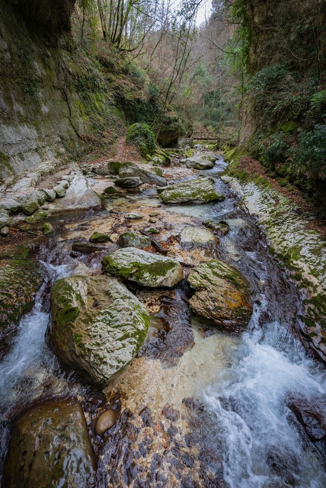 Фотография автора Максимова Дария