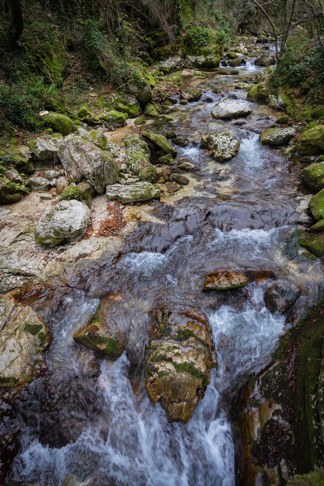 Фотография автора Максимова Дария