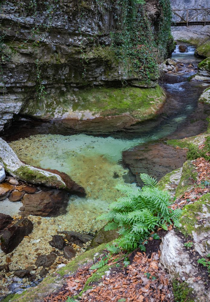 Фотография автора Максимова Дария