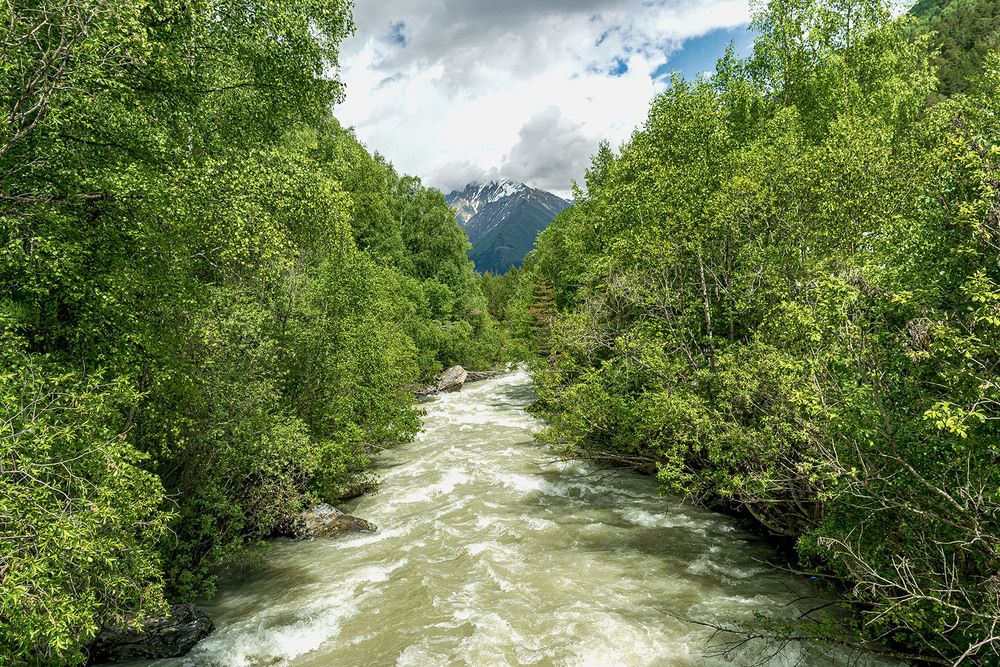 Горная река Хасаут