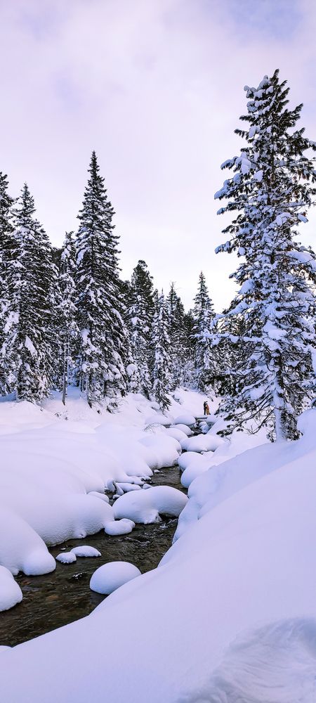 Photograph by Оркина Ксения