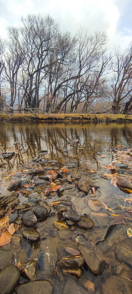 Photograph by Оркина Ксения