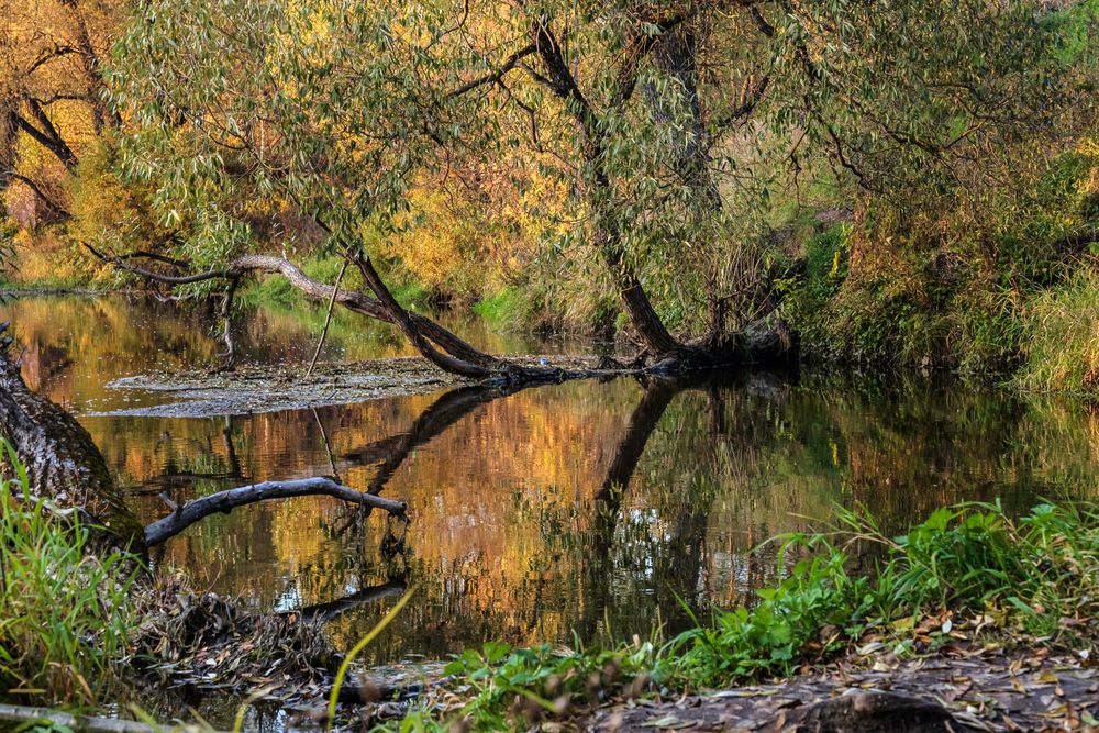 Фотография автора Виктор Парщиков