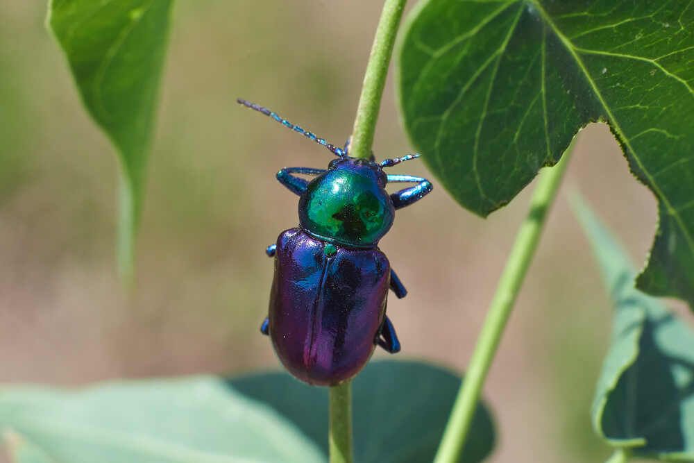 Фотография автора Павел Сторчилов