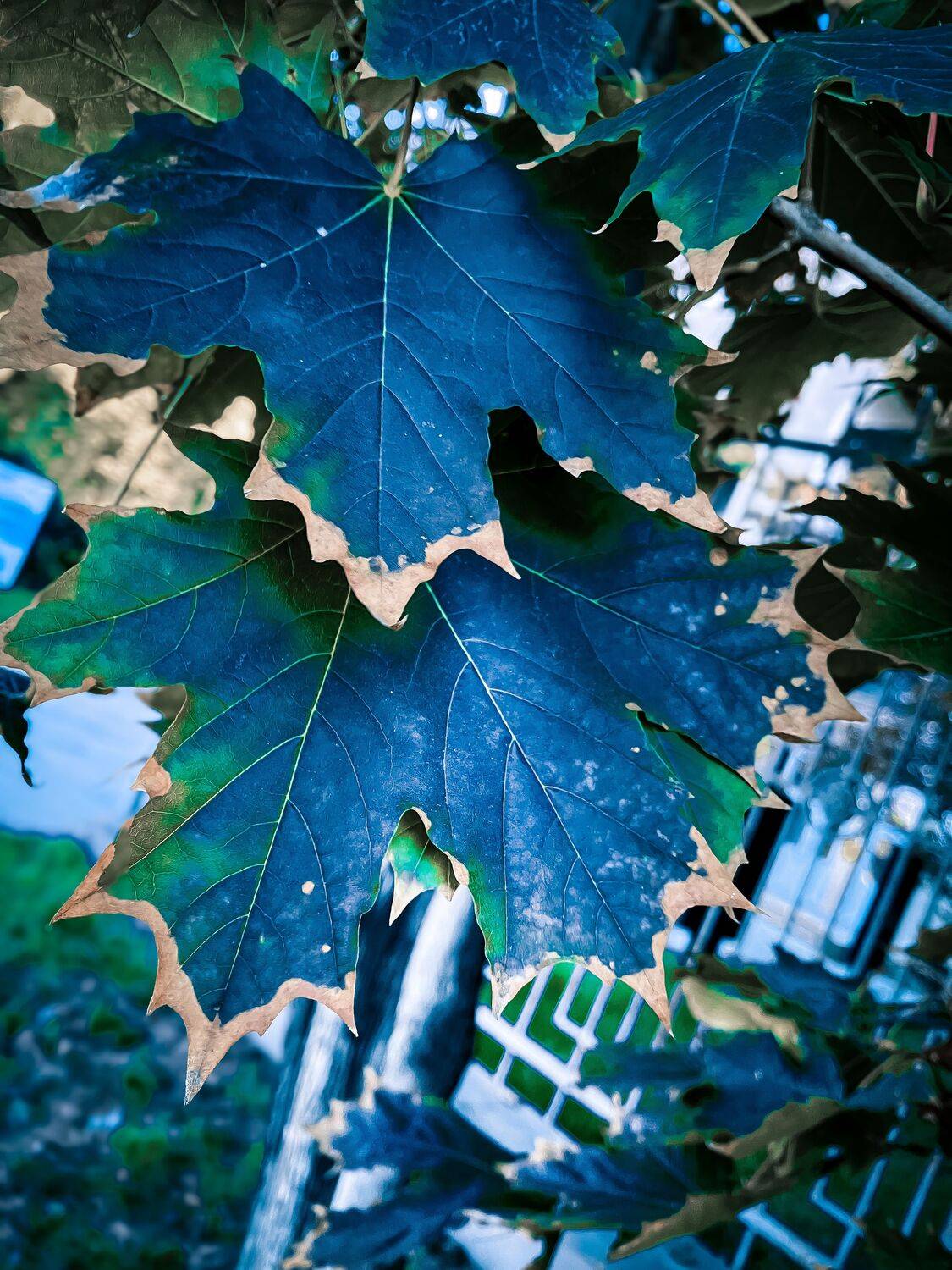 Фотография #13406907