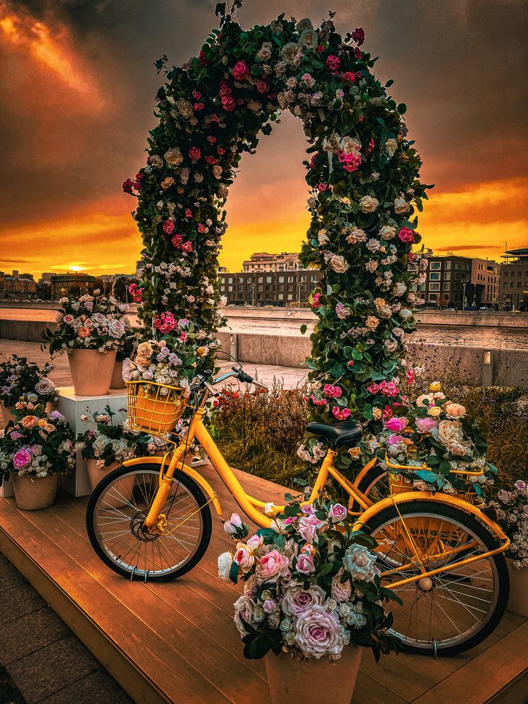 Photograph by Alexandr Shcherbakov