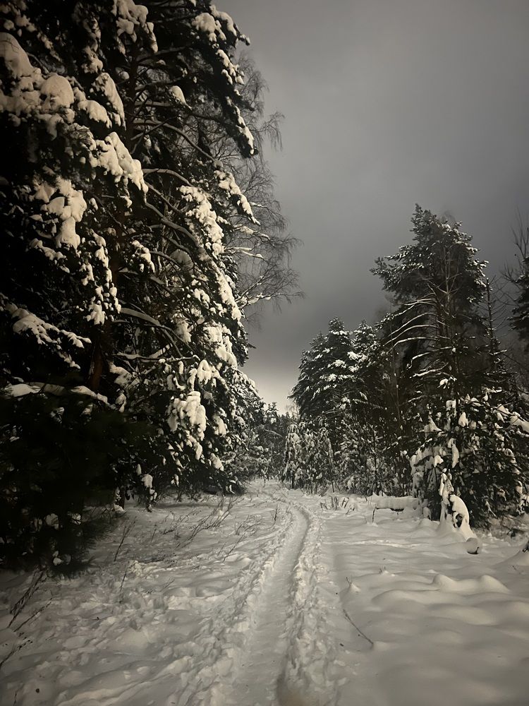 Photograph by Владимир Михайлов