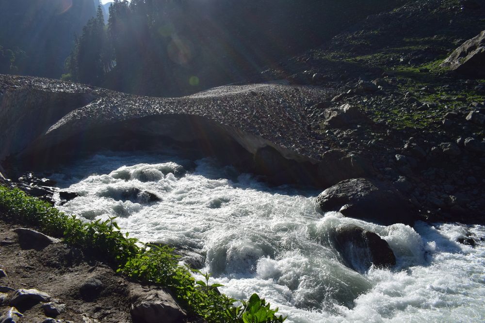 Photograph by SRINIVASA SUBRAHMANYAM SARIPALLI