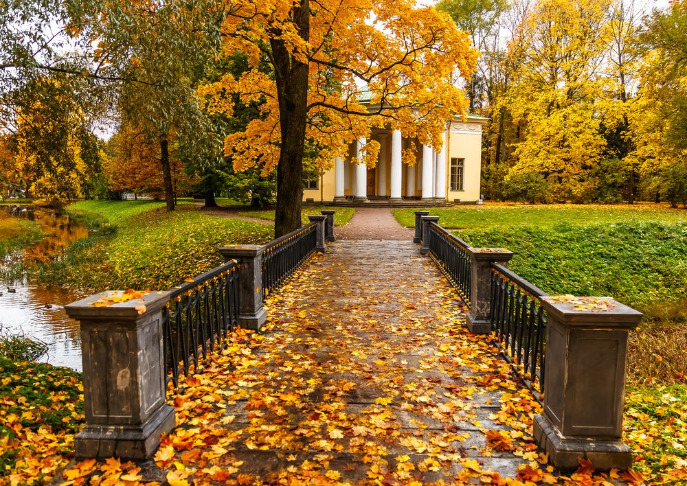 Photograph by Наталья Колеватова