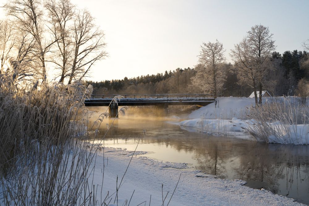 Фотография автора Viktoriya Kim