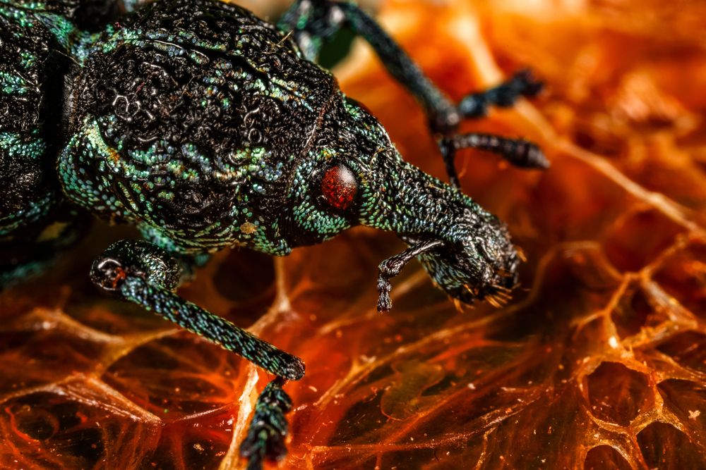 Photograph by Гукасян Геворк