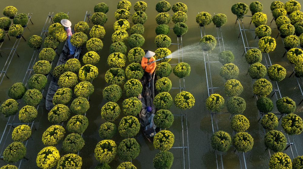 Photograph by Tam Phan Minh Minh