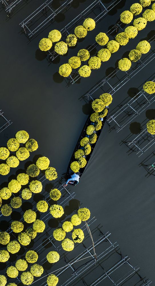 Photograph by Tam Phan Minh Minh