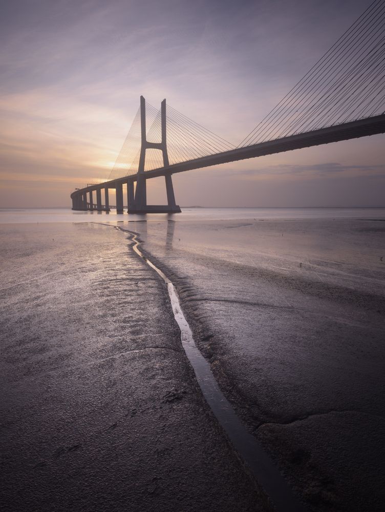 Photograph by Марина Ферапонтова