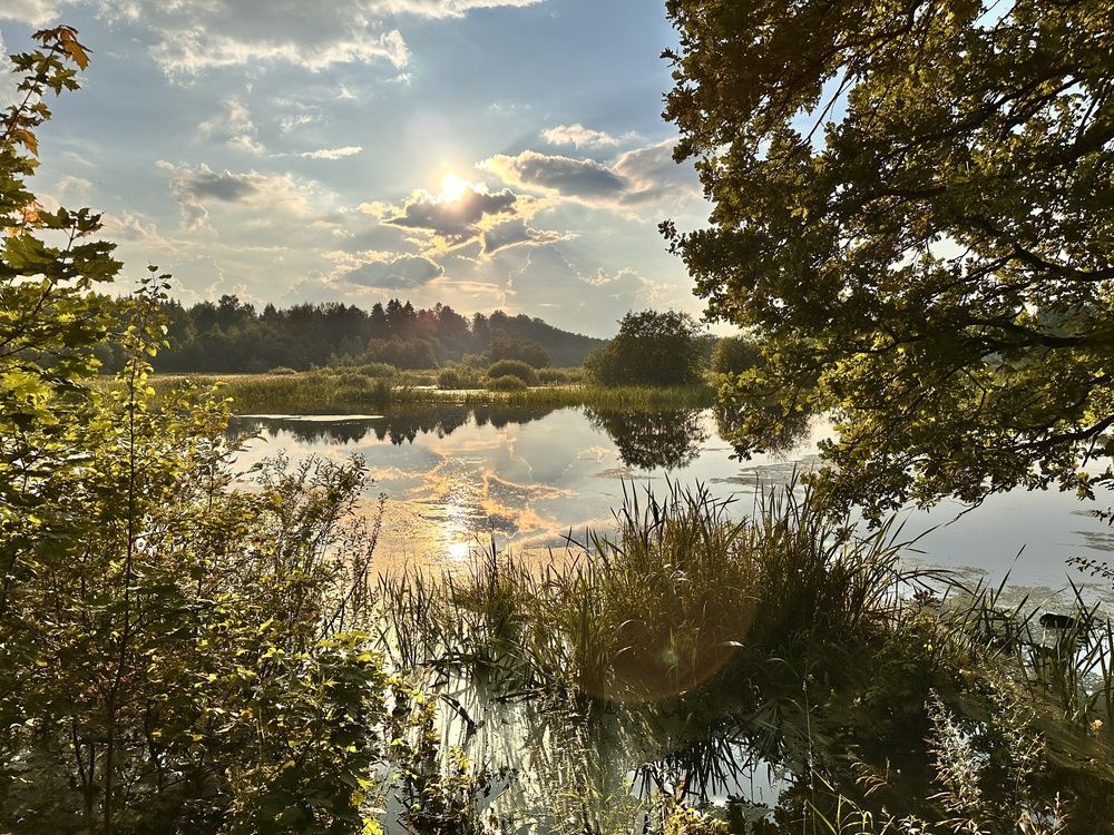 Photograph by Анастасия Юртикова