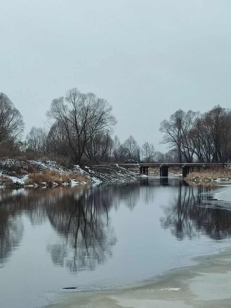 Photograph by Galina Novichkova