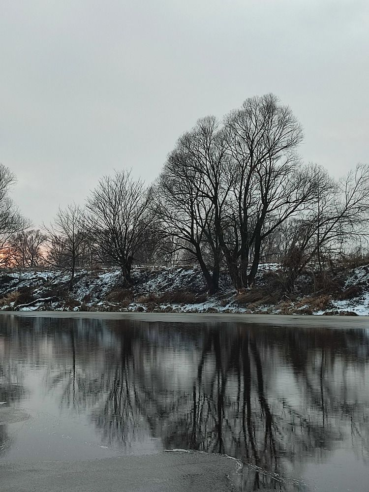 Photograph by Galina Novichkova