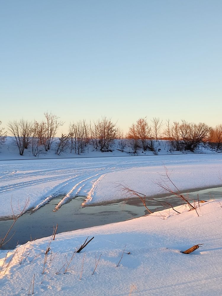 Photograph by Galina Novichkova