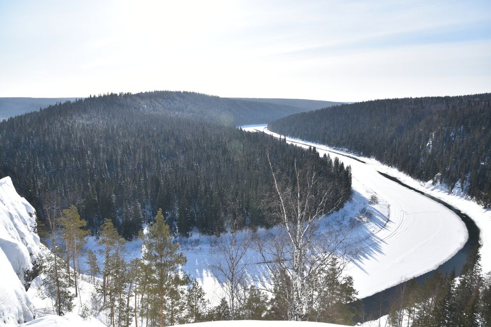 Photo #13407793