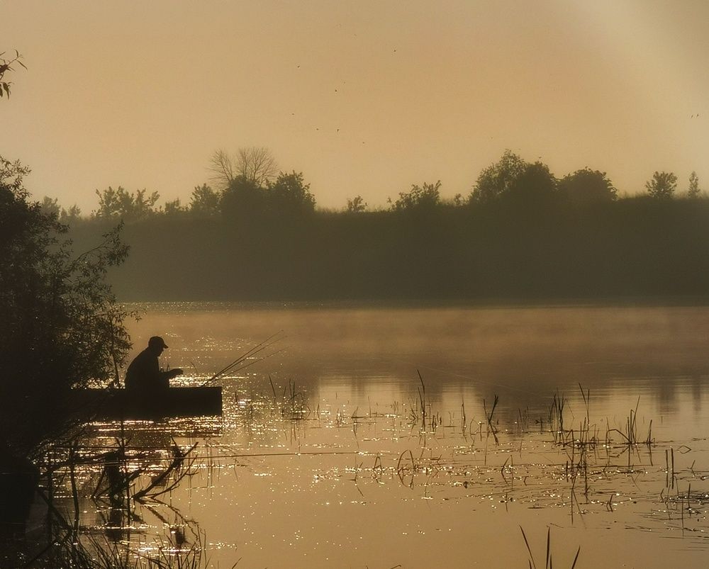 Photograph by Наталья Лощилина