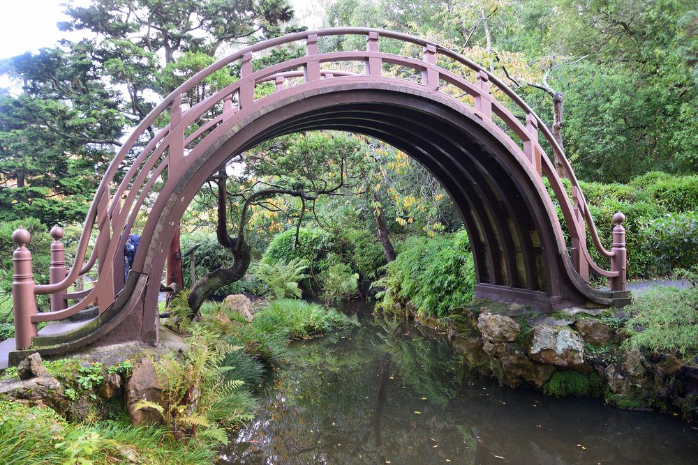 Photograph by NAFTALI KHALMAN