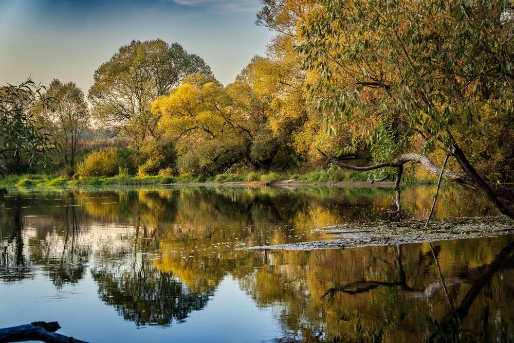 Фотография автора Виктор Парщиков