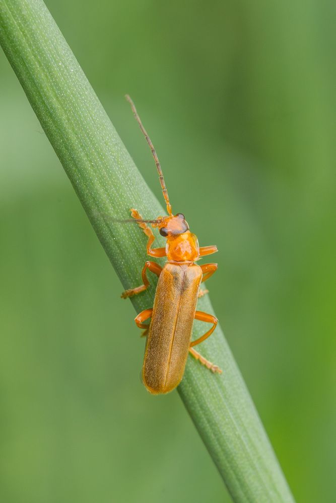 Photograph by Ольга Таланцева