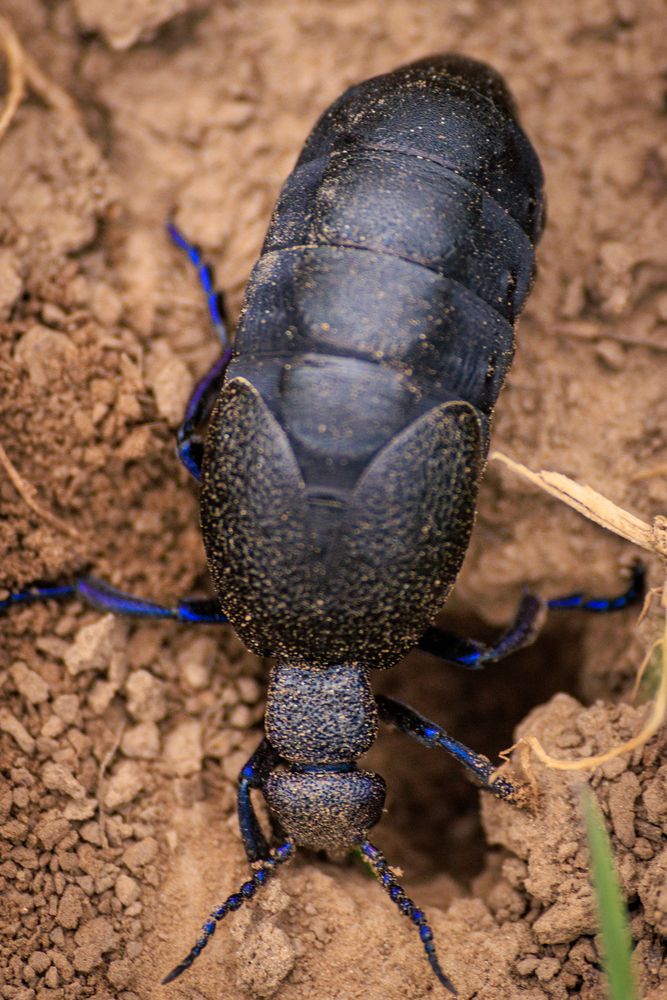 Photograph by Сергей Шестов