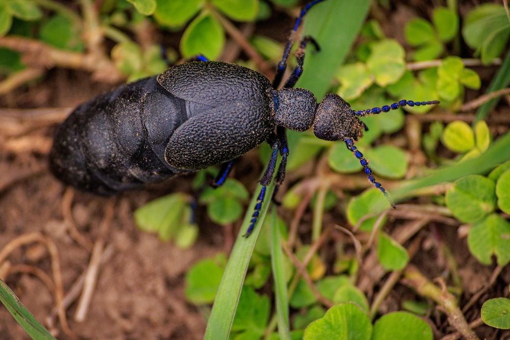 Photograph by Сергей Шестов