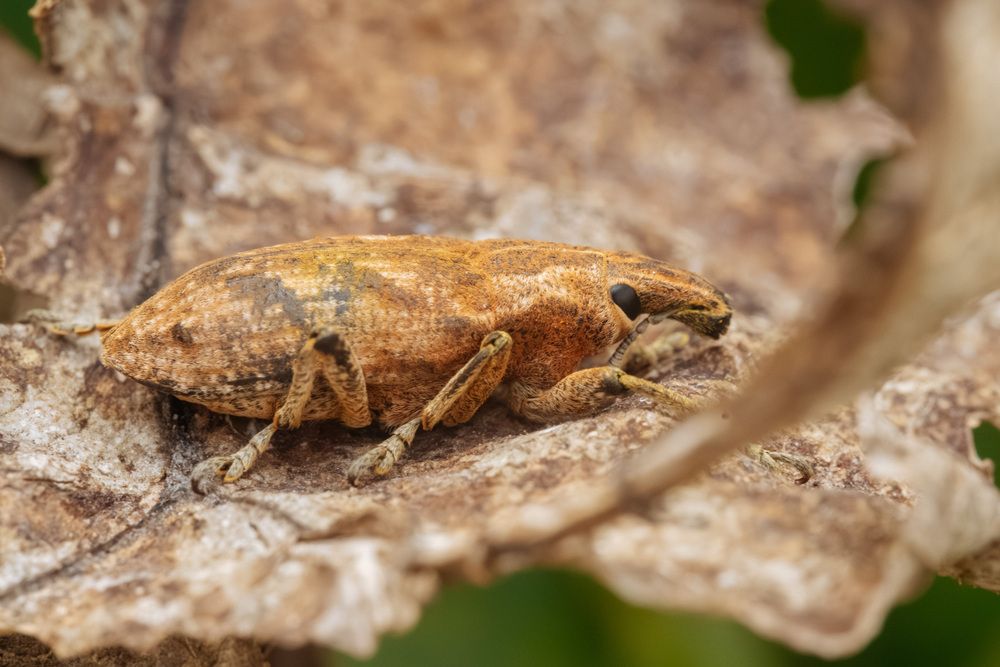 Photograph by Ольга Таланцева