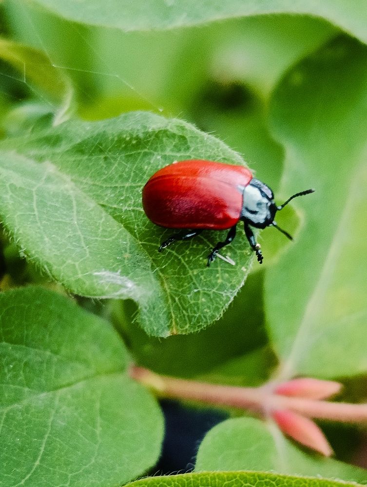 Photograph by Оксана Радзиевская