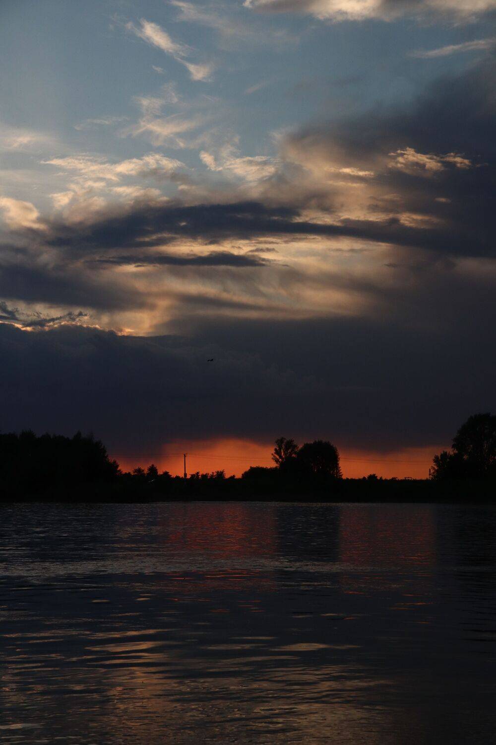 Photo #13408078