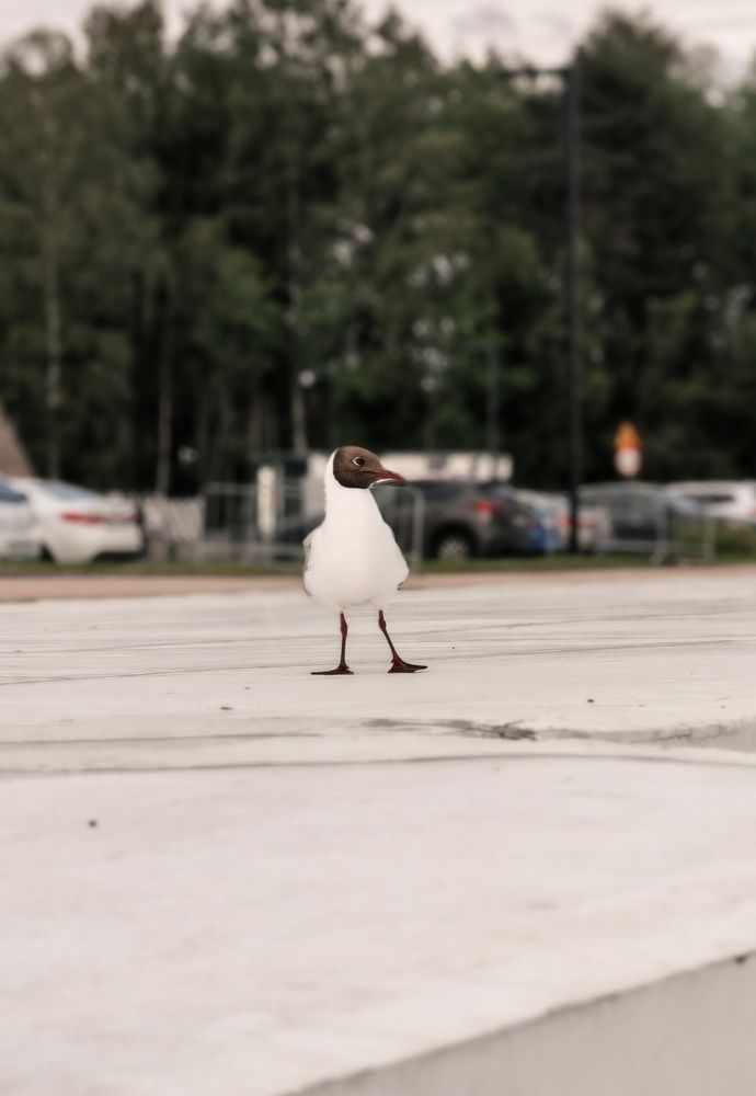 Photograph by Ольга Кузнецова