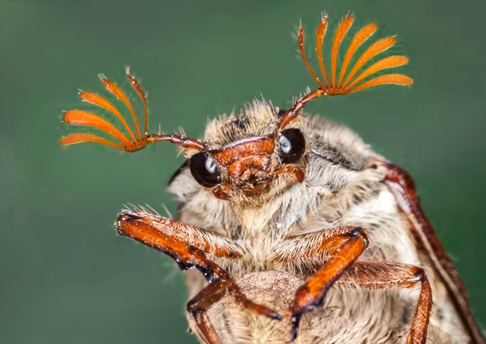 Photograph by Лариса Рулёва