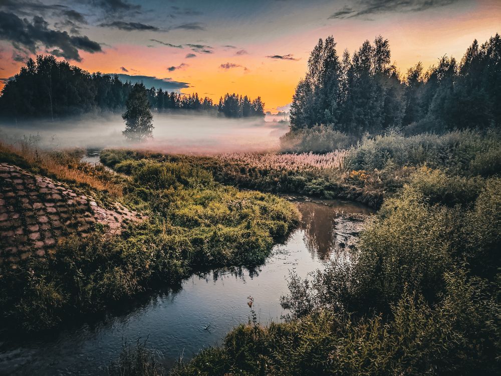 Photograph by Ольга Амосова