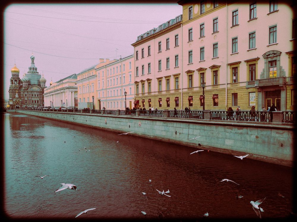 Photograph by Ольга Амосова