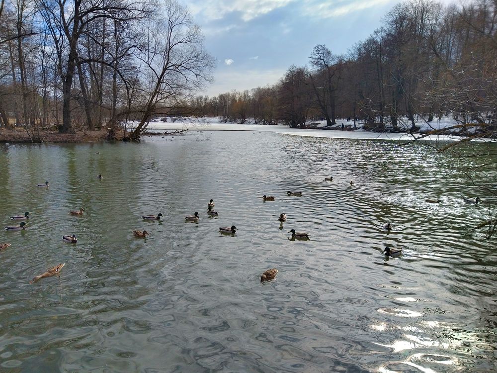 Весенняя Чурилиха