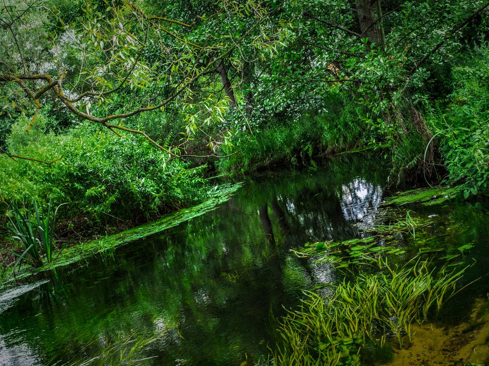 Photograph by Руслан Ибрагимов