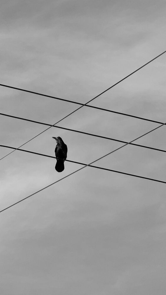 Photograph by Регина Усова