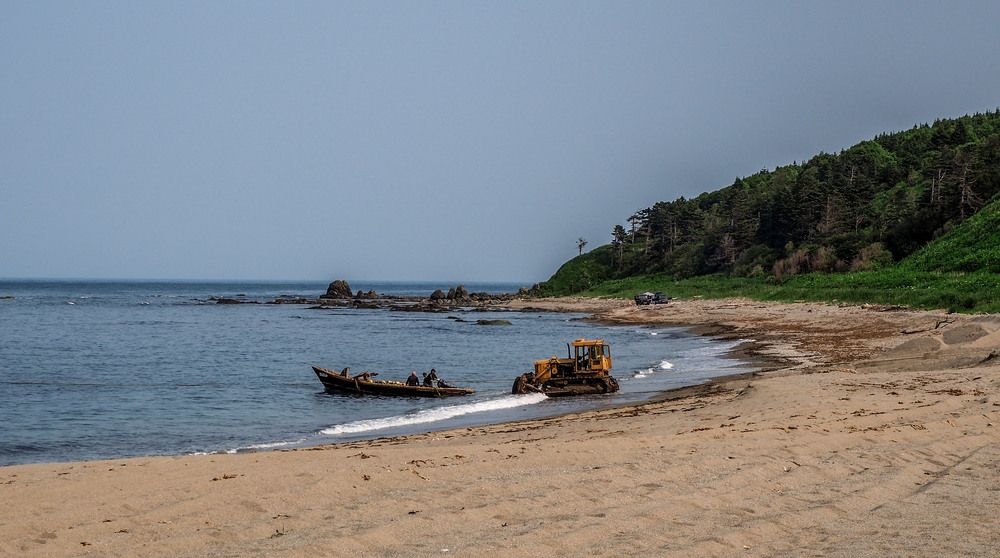 Photograph by Olena Vorotyntseva