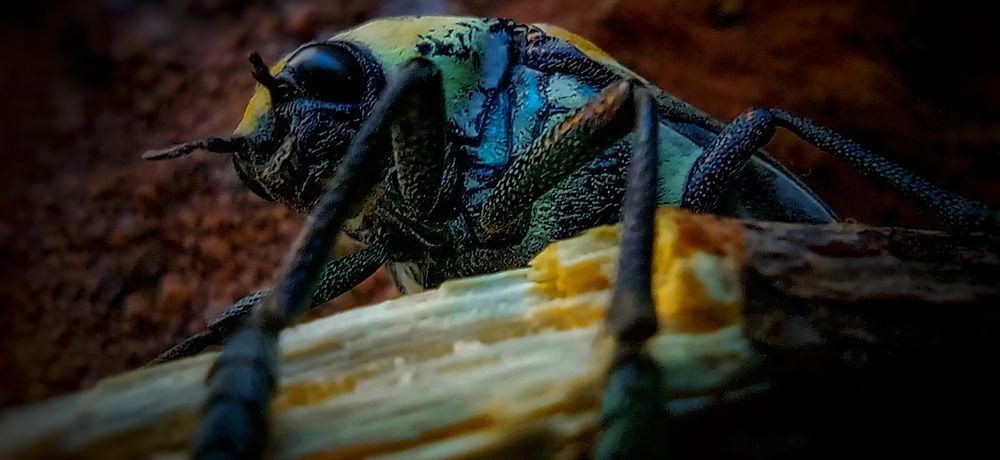 Photograph by Salwa AlYousif