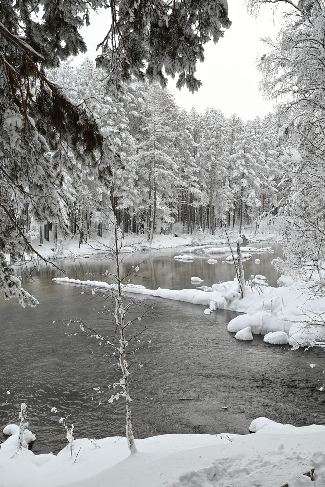 Photograph by Алексей Кушнарёв