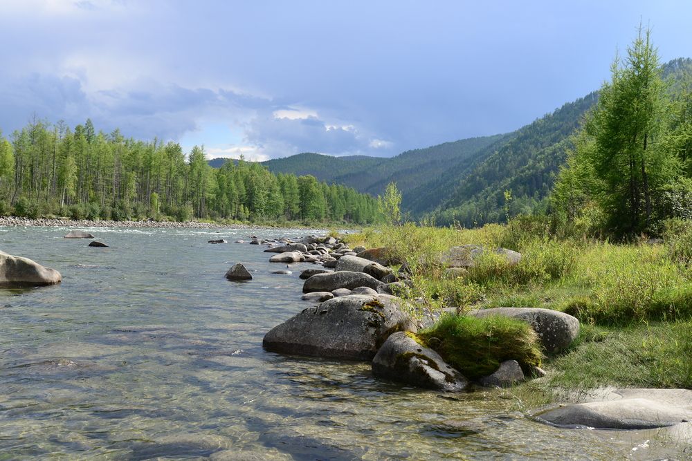 Урик