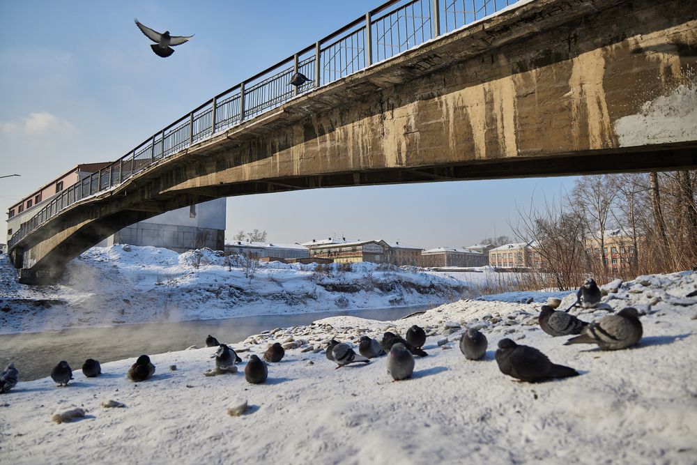 Photograph by Анастасия Долгова