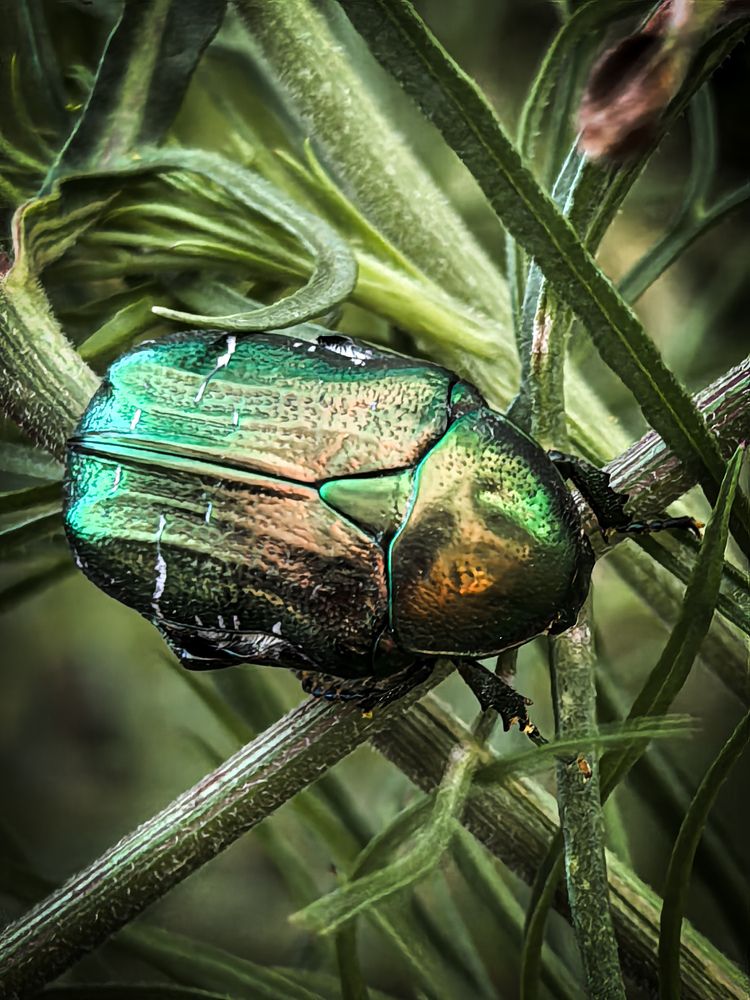 Photograph by Инна Невар