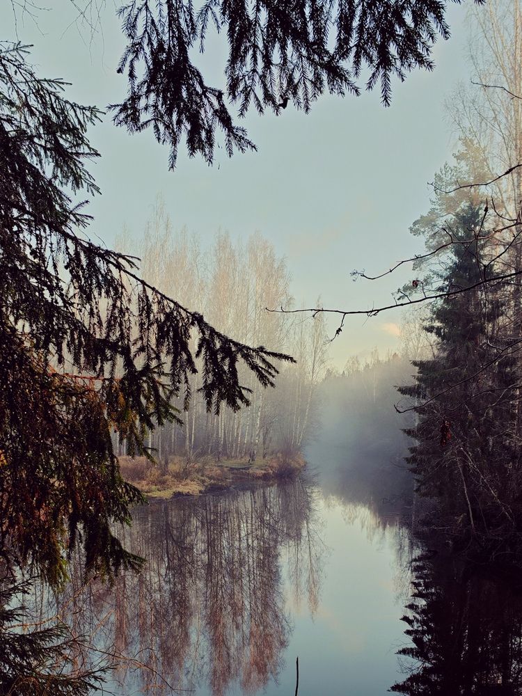 Ноябрьское утро у Кременки.